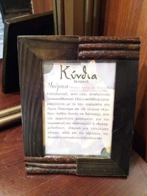 Kynthia Guesthouse Неохоріон Екстер'єр фото